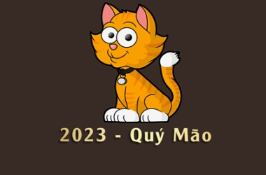 Vì Sao Bạn Nên Tổ Chức Tiệc Vào Năm Quý Mão 2023